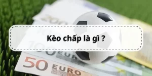 https://hcew.nl/